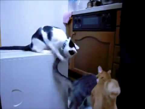 濡れ衣 - YouTube.flv - YouTube