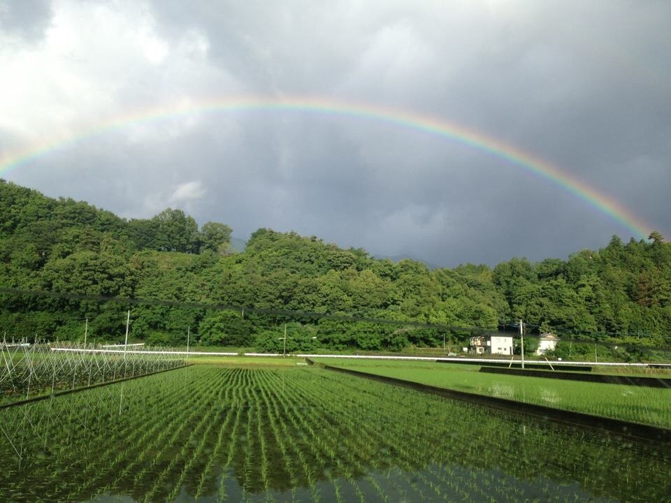 キレイに撮れた写メを貼りあうトピ♪