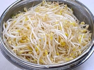 もやしを使ったメインになる料理教えてください
