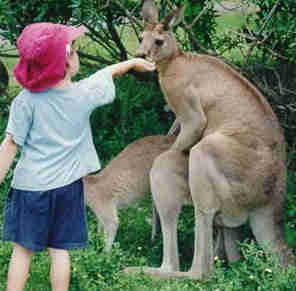 動物たちに癒やしてもらうトピック