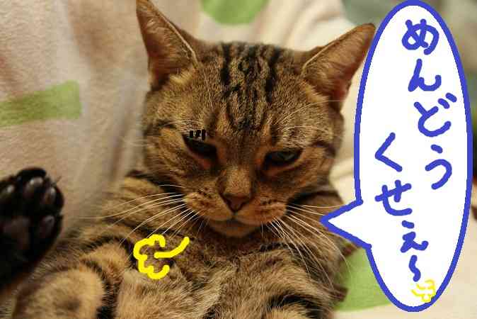 元AKB48大島優子とKis-My-Ft2玉森裕太ラブシーンにネット騒然「まじ最悪」「エアキスだろ」