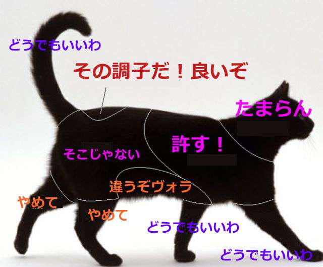 「ねこのきもち」がわかる漫画があるあるすぎるｗ