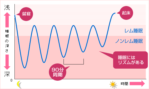 睡眠の1.5時間周期は嘘?眠りに関する意外な新常識