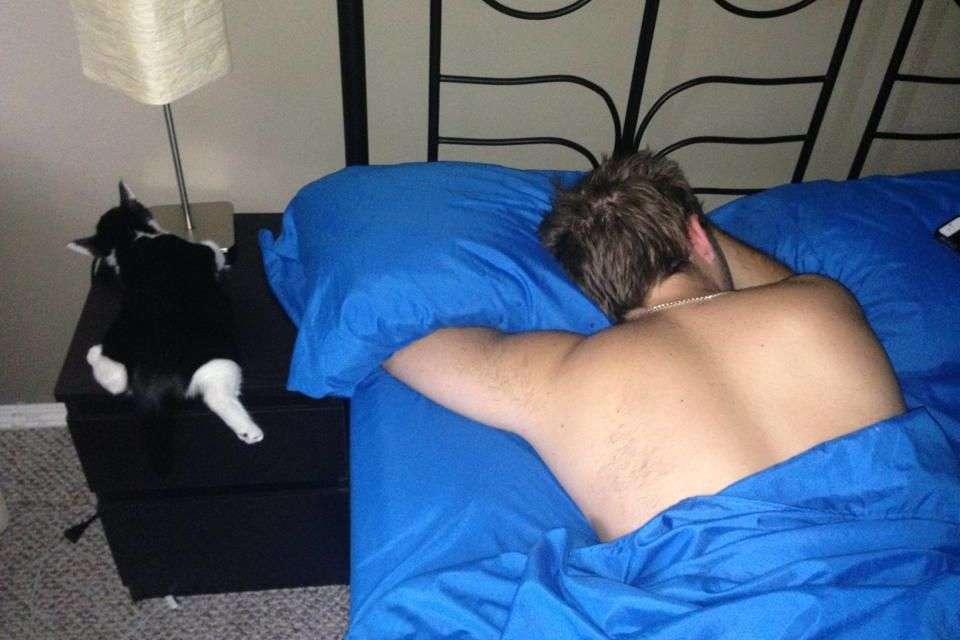 心が温まる画像をください。