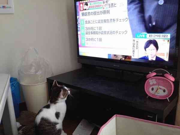ミヤネ屋での放送事故が怖すぎると話題に