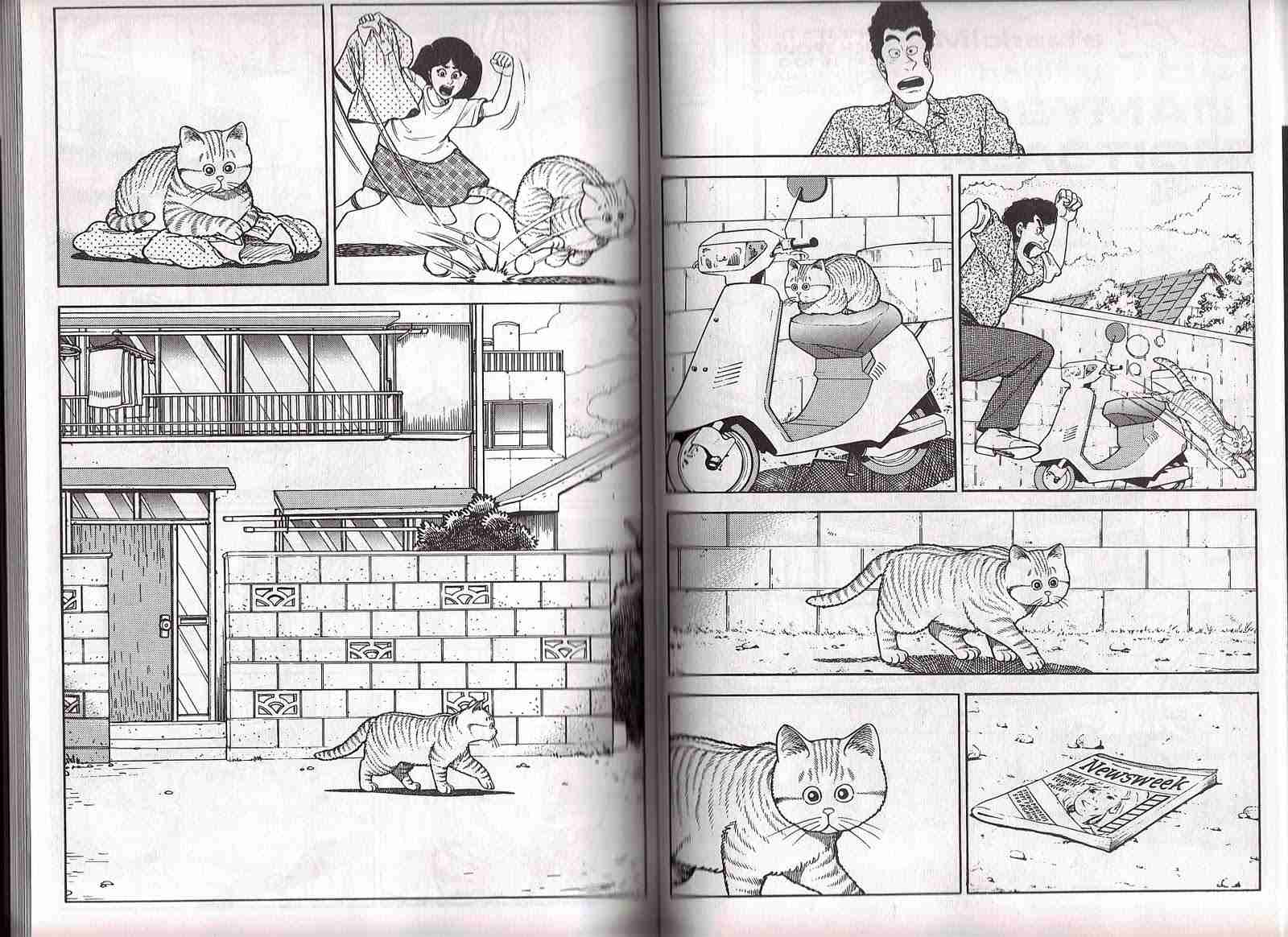 「ねこのきもち」がわかる漫画があるあるすぎるｗ