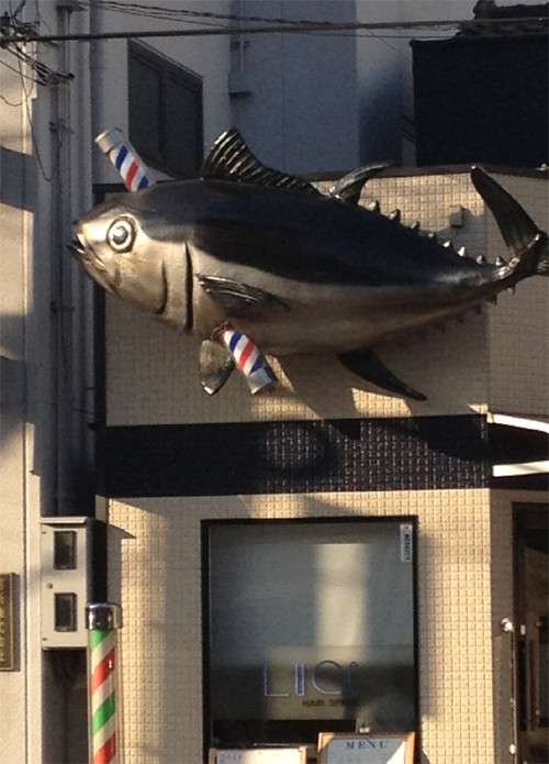 じわじわくる画像をください