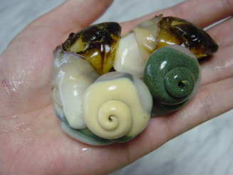 人生で一番不味かったもの