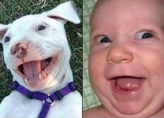 【画像】似ている写真を貼り付けましょう！