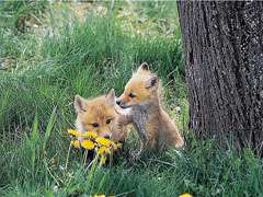 【友達とメールしてる感じで誰かと話すトピ】今なにしてるー？