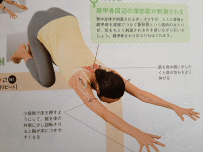 寝起きが悪い人いますか?