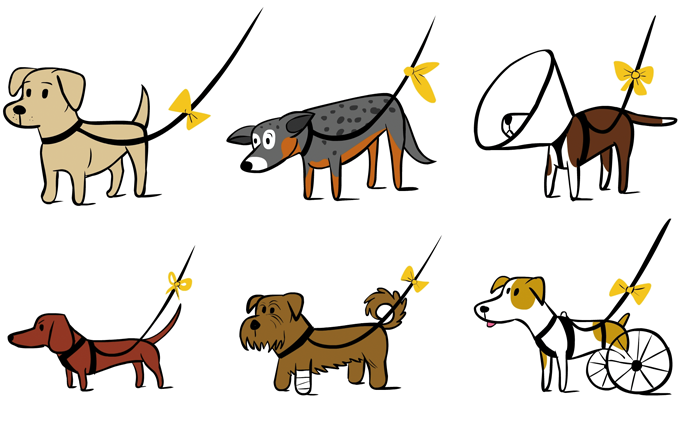【知ってましたか？】黄色のリボンが付いた犬を見かけたらそっとしてあげてね