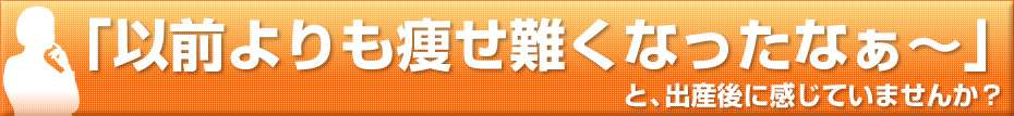 超ロングセラーの痩せ体質づくりトピナガードル