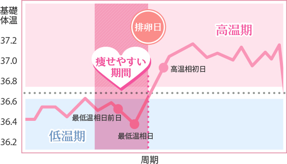 基礎体温つけていますか？