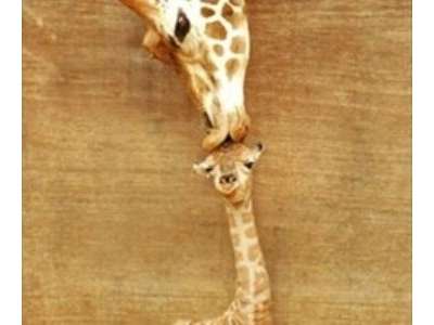 動物たちに癒やしてもらうトピック