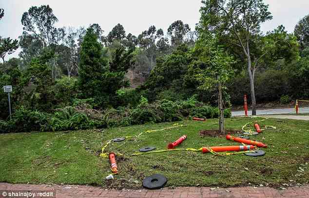 投資家「公園に現金を隠したから探してね」→1000人が殺到、公園が滅茶苦茶に