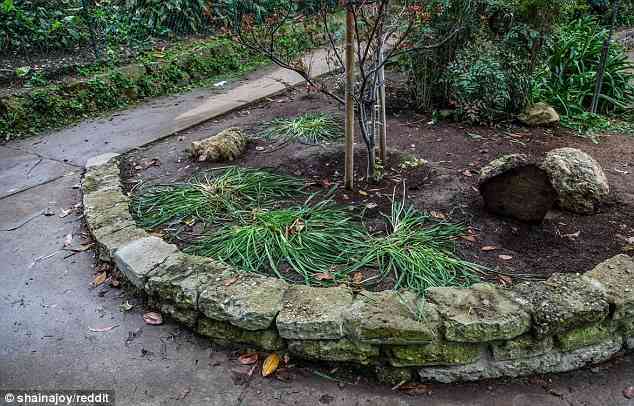 まとめたニュース : 投資家「公園に現金を隠したよ〜」　→　1000人が殺到、公園が滅茶苦茶に