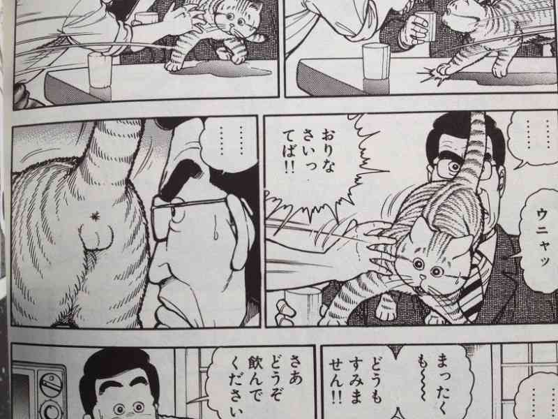 「ねこのきもち」がわかる漫画があるあるすぎるｗ