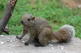 台湾に行ったことある方∩(´∀｀)∩