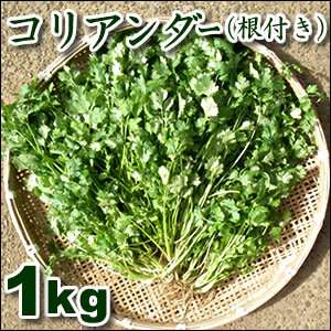 人生で一番不味かったもの