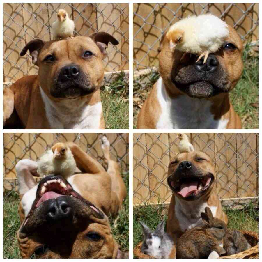 心が温まる画像をください。
