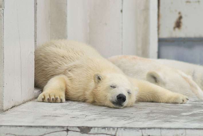 オススメのリラックス方法