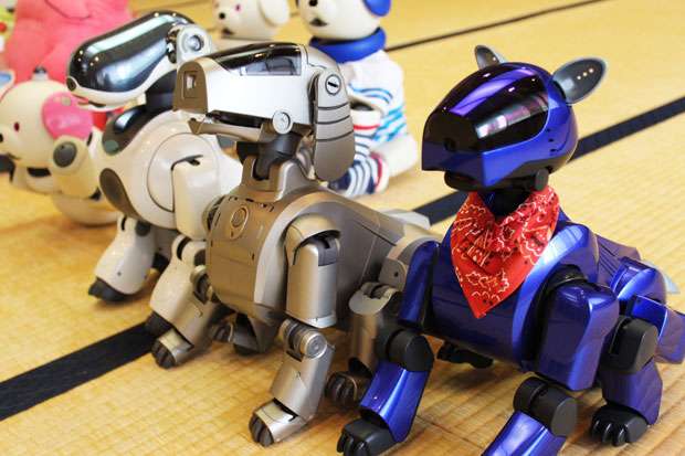 ＡＩＢＯ、君を死なせない　修理サポート終了「飼い主」の悲しみ 〈AERA〉-朝日新聞出版｜dot.（ドット）