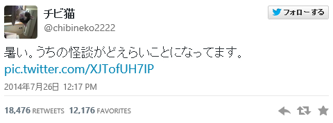 猛暑過ぎて猫が階段に列を成す…！