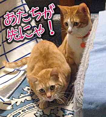 仲良しでも腹が立ったこと