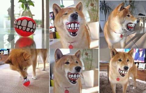 じわじわくる画像をください