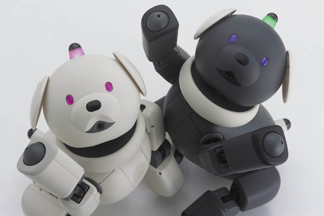 AIBO、君を死なせない　修理サポート終了「飼い主」の悲しみ