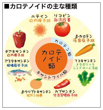 みんなの美容豆知識
