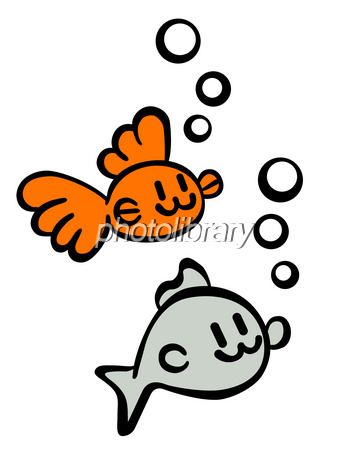 【閲覧注意】魚は食べ飽きた？ カモメがウサギを丸飲み