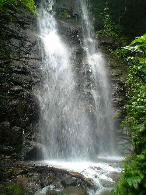 夏のガルちゃん夕涼み会( ´ ▽ ` )