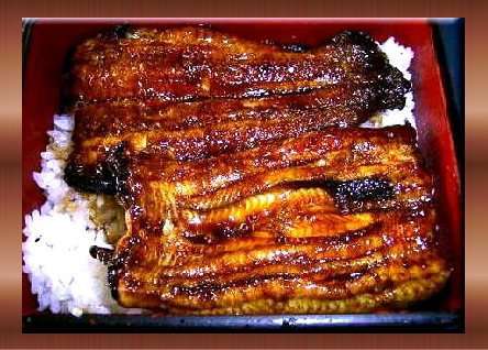 ウナギがトキ並み絶滅危惧に…ワシントン条約で規制が濃厚