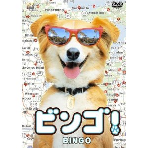 結婚式二次会のビンゴで嬉しかった景品