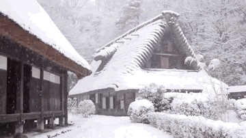 夏のガルちゃん夕涼み会( ´ ▽ ` )