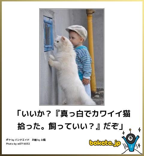 動物たちに癒やしてもらうトピック
