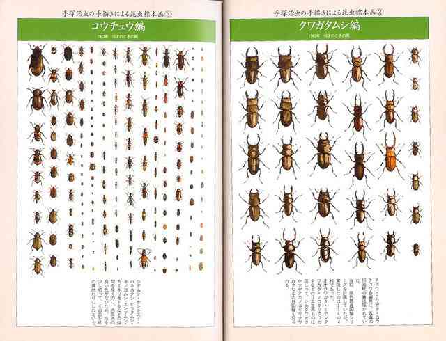 小室哲哉の“幼稚園時代の絵”に絶賛、高すぎる画力に「天才です…」の声