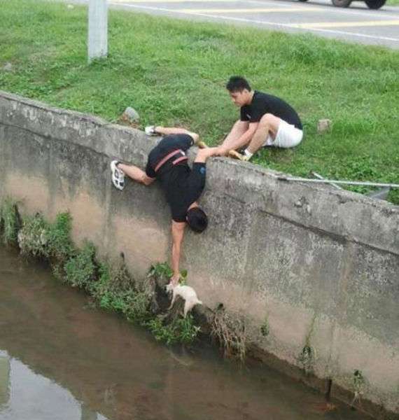 心が温まる画像をください。