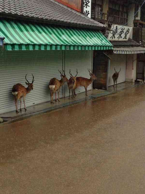 【台風】三重県で56万人避難指示