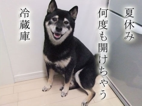 短歌、川柳で夏を表現しましょう！！