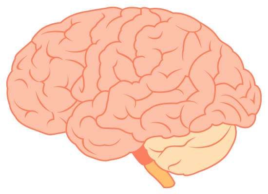 【えっ!!!】人の悪口を言うと、自分自身が傷つく理由。【脳科学】 | BuzzNews(バズニュース)　