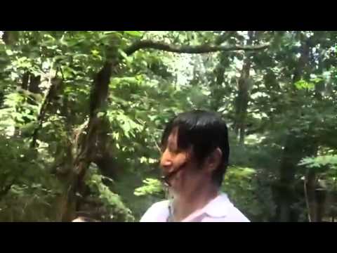 漫画家 荒木飛呂彦 ALSの為のチャリティ - YouTube