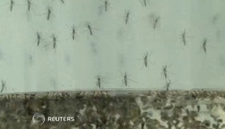 あなたを悩ます｢蚊｣､殲滅へのカウントダウン | オリジナル | 東洋経済オンライン | 新世代リーダーのためのビジネスサイト