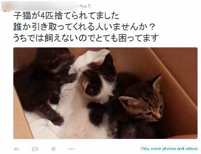 「保健所に連れて行くなっ」中川翔子にTwitterで晒された一般人がアカウント削除に追い込まれ炎上