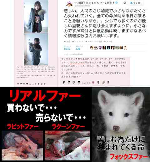 【グロ画像閲覧注意】中川翔子、リアルファーを着こみながら動物愛護()を訴える【ツイッター・しょこたん・毛皮・猫】 : ツインテ少女