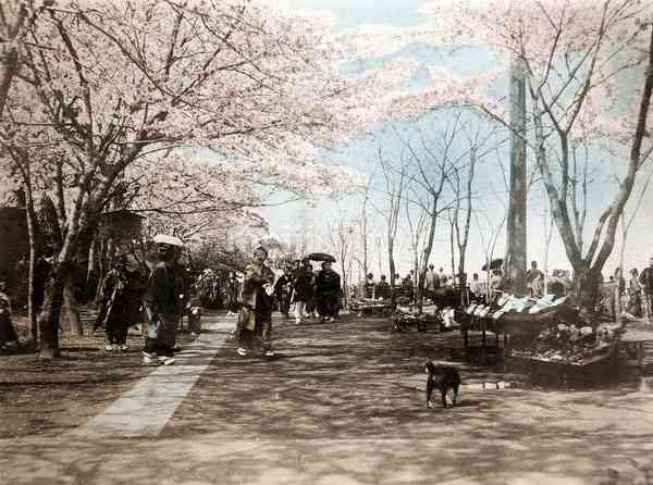 大昔の写真を貼るトピ