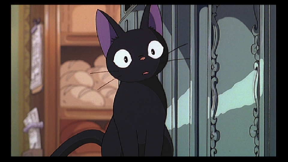 写真うつりが悪いから?イギリスで捨てられる黒猫たちが急増