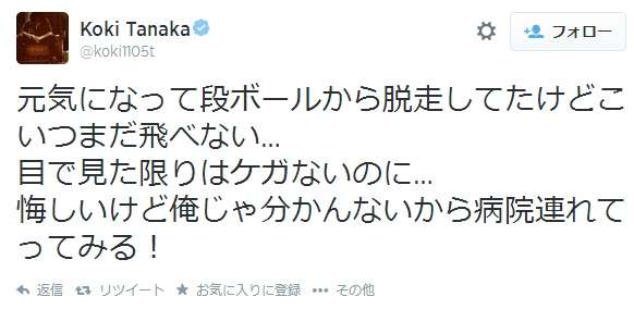 元KAT-TUNの田中聖が野鳥を保護し病院に連れてくも一部から批判され謝罪